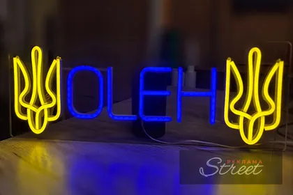 Інсталяція з холодного неону